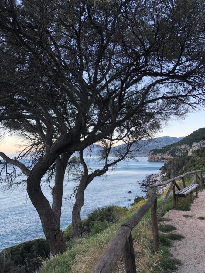 شقة Cala Gonone, Casa I Pini المظهر الخارجي الصورة