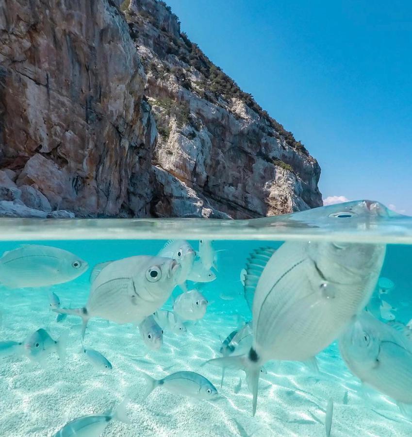 شقة Cala Gonone, Casa I Pini المظهر الخارجي الصورة
