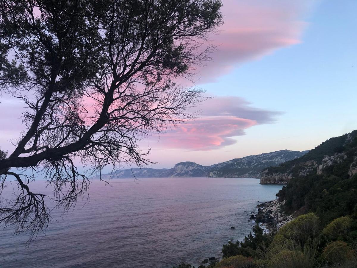 شقة Cala Gonone, Casa I Pini المظهر الخارجي الصورة