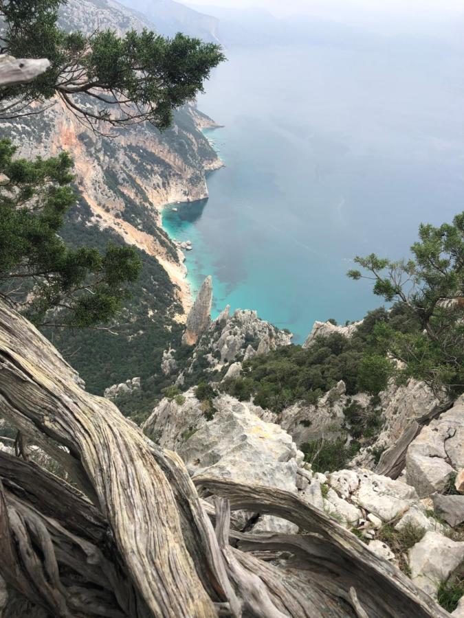 شقة Cala Gonone, Casa I Pini المظهر الخارجي الصورة